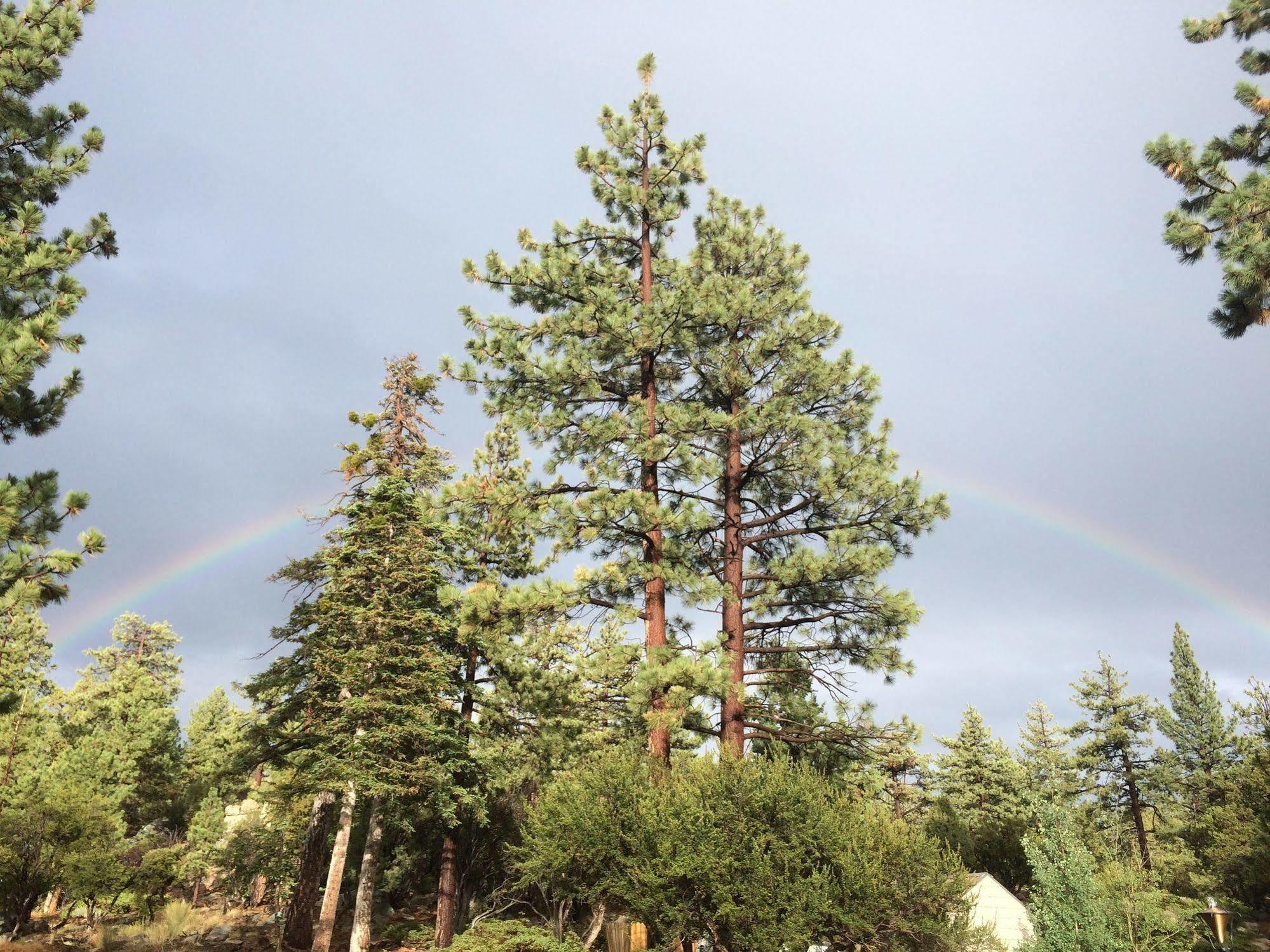 Cienaga Creek Ranch Villa Big Bear Lake Eksteriør bilde